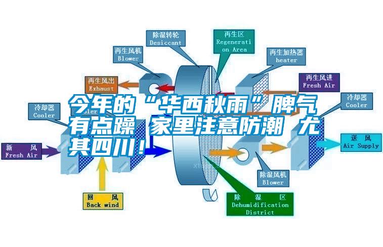 今年的“华西秋雨”脾气有点躁 家里注意防潮 尤其四川！