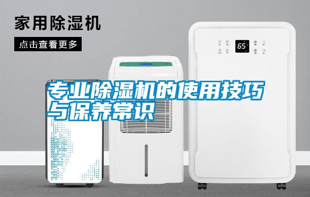 专业蜜柚直播APP正版下载的使用技巧与保养常识