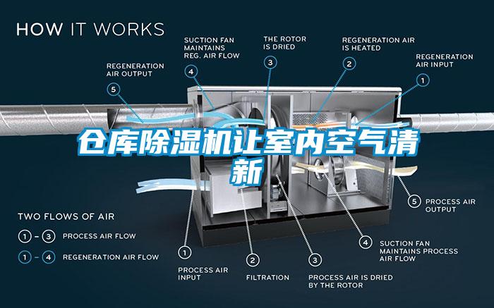 仓库蜜柚直播APP正版下载让室内空气清新