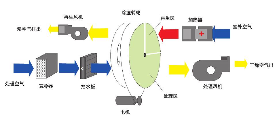 转轮蜜柚直播APP正版下载原理