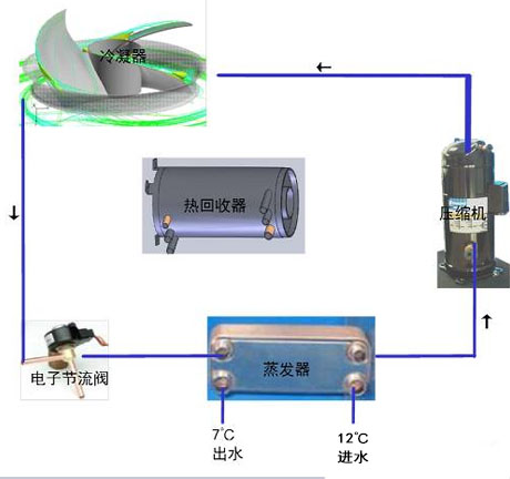 工业蜜柚直播APP正版下载厂家