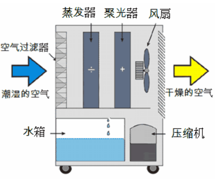 转轮蜜柚直播APP正版下载启动不正常的原因