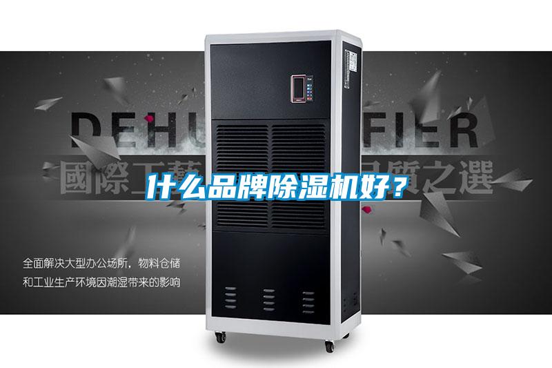 什么品牌蜜柚直播APP正版下载好？