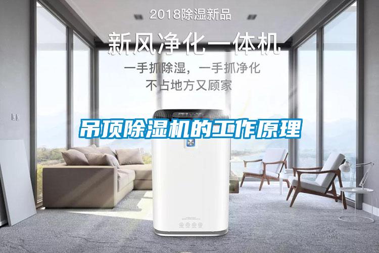 吊顶蜜柚直播APP正版下载的工作原理