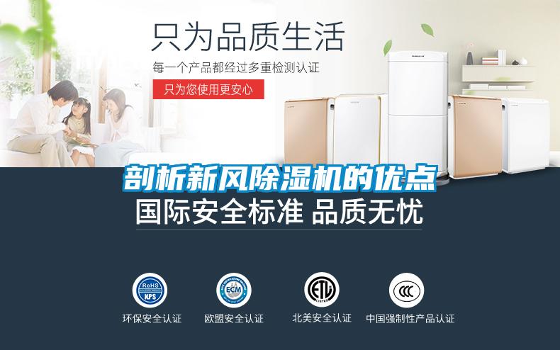 剖析新风蜜柚直播APP正版下载的优点