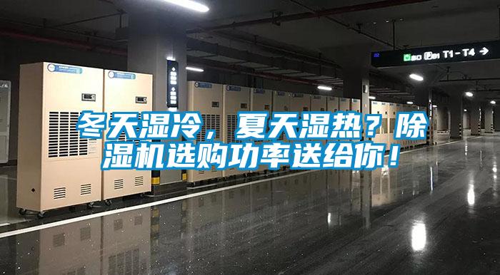 冬天湿冷，夏天湿热？蜜柚直播APP正版下载选购功率送给你！