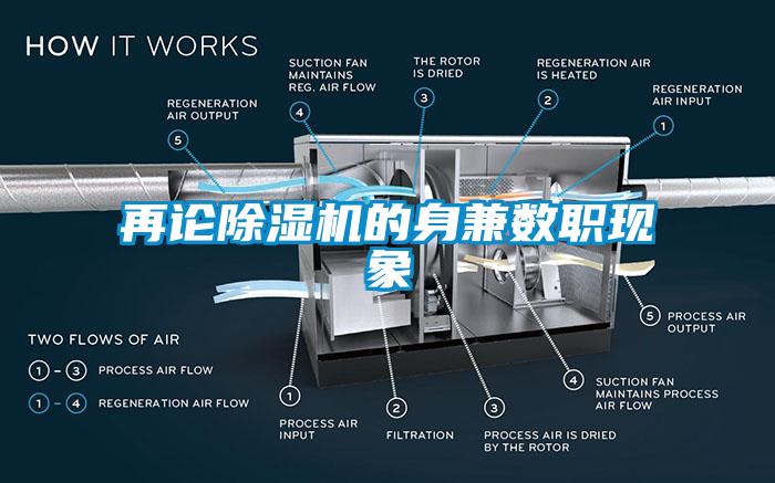 再论蜜柚直播APP正版下载的身兼数职现象