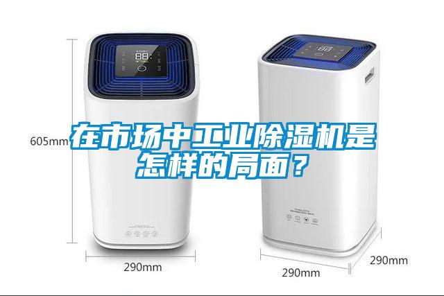 在市场中工业蜜柚直播APP正版下载是怎样的局面？