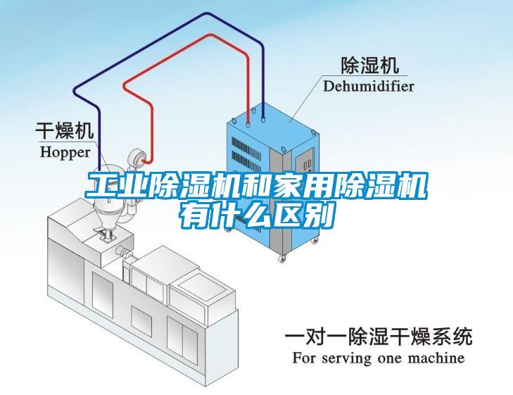 工业蜜柚直播APP正版下载和家用蜜柚直播APP正版下载有什么区别