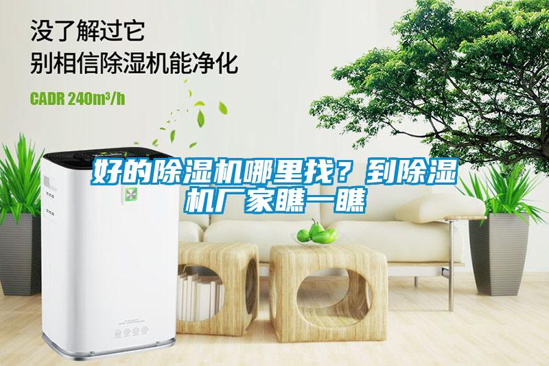 好的蜜柚直播APP正版下载哪里找？到蜜柚直播APP正版下载厂家瞧一瞧