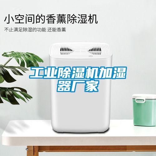 工业蜜柚直播APP正版下载加湿器厂家