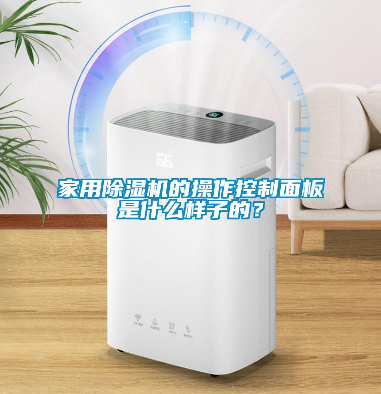 家用蜜柚直播APP正版下载的操作控制面板是什么样子的？