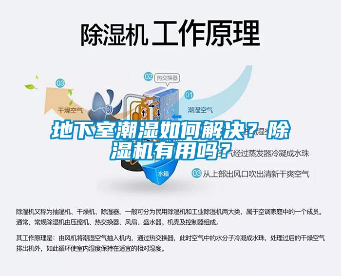 地下室潮湿如何解决？蜜柚直播APP正版下载有用吗？