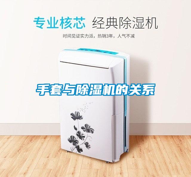 手套与蜜柚直播APP正版下载的关系