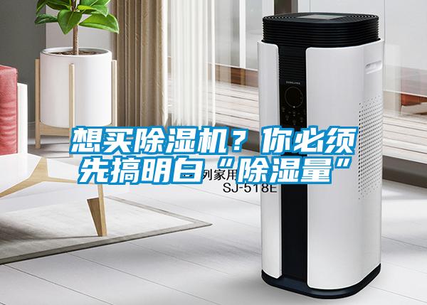 想买蜜柚直播APP正版下载？你必须先搞明白“除湿量”