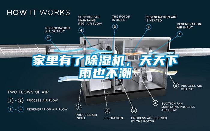 家里有了蜜柚直播APP正版下载，天天下雨也不潮