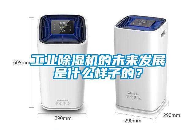 工业蜜柚直播APP正版下载的未来发展是什么样子的？