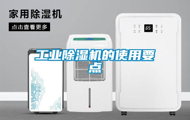 工业蜜柚直播APP正版下载的使用要点