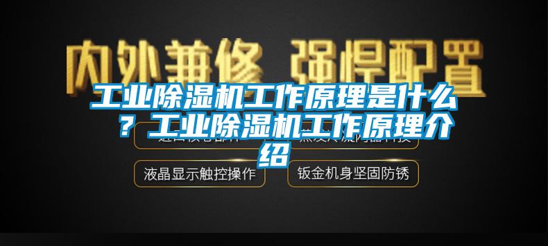 工业蜜柚直播APP正版下载工作原理是什么 ？工业蜜柚直播APP正版下载工作原理介绍