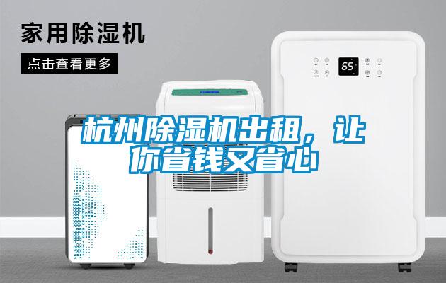 杭州蜜柚直播APP正版下载出租，让你省钱又省心