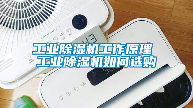 工业蜜柚直播APP正版下载工作原理 工业蜜柚直播APP正版下载如何选购