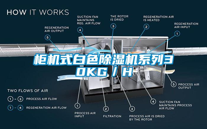 柜机式白色蜜柚直播APP正版下载系列30KG／H