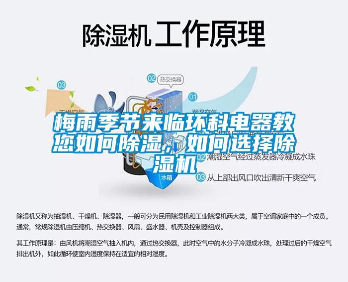 梅雨季节来临环科电器教您如何除湿，如何选择蜜柚直播APP正版下载