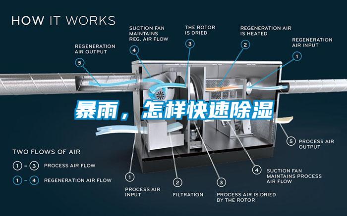 暴雨，怎样快速除湿