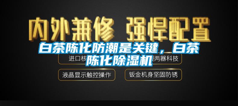 白茶陈化防潮是关键，白茶陈化蜜柚直播APP正版下载