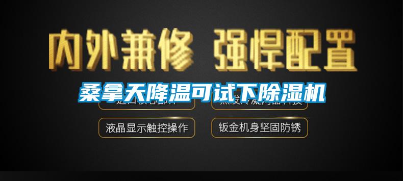 桑拿天降温可试下蜜柚直播APP正版下载