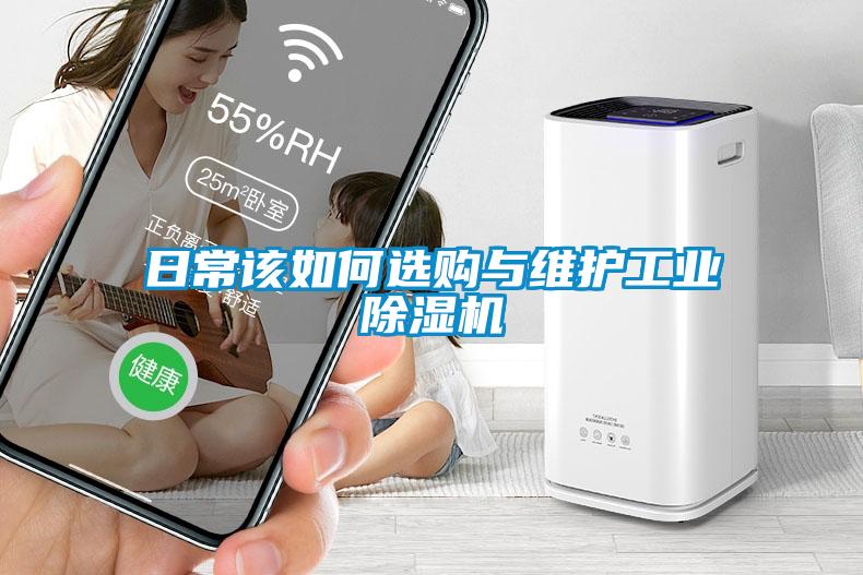 日常该如何选购与维护工业蜜柚直播APP正版下载