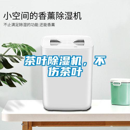 茶叶蜜柚直播APP正版下载，不伤茶叶