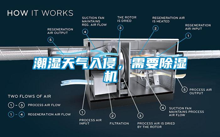 潮湿天气入侵，需要蜜柚直播APP正版下载