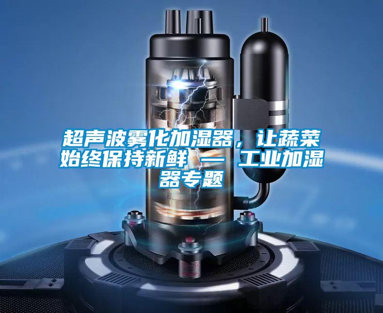 超声波雾化加湿器，让蔬菜始终保持新鲜 — 工业加湿器专题