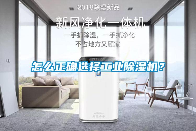 怎么正确选择工业蜜柚直播APP正版下载？