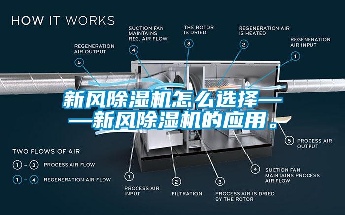 新风蜜柚直播APP正版下载怎么选择——新风蜜柚直播APP正版下载的应用。