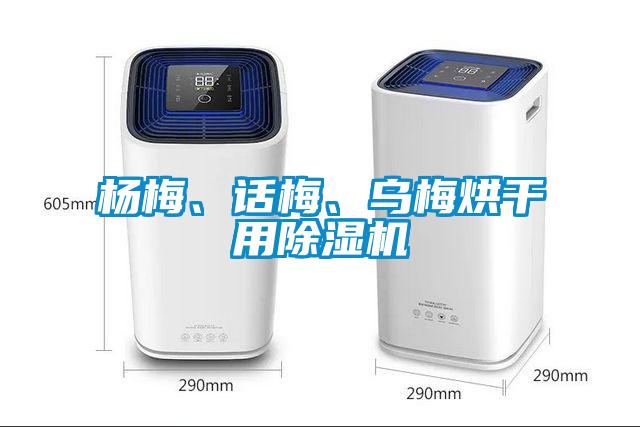 杨梅、话梅、乌梅烘干用蜜柚直播APP正版下载