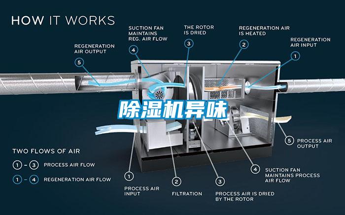 蜜柚直播APP正版下载异味