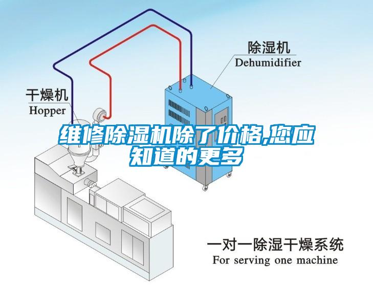 维修蜜柚直播APP正版下载除了价格,您应知道的更多