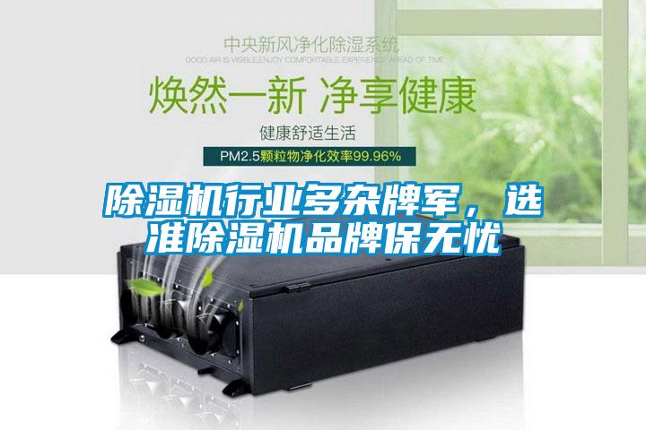 蜜柚直播APP正版下载行业多杂牌军，选准蜜柚直播APP正版下载品牌保无忧