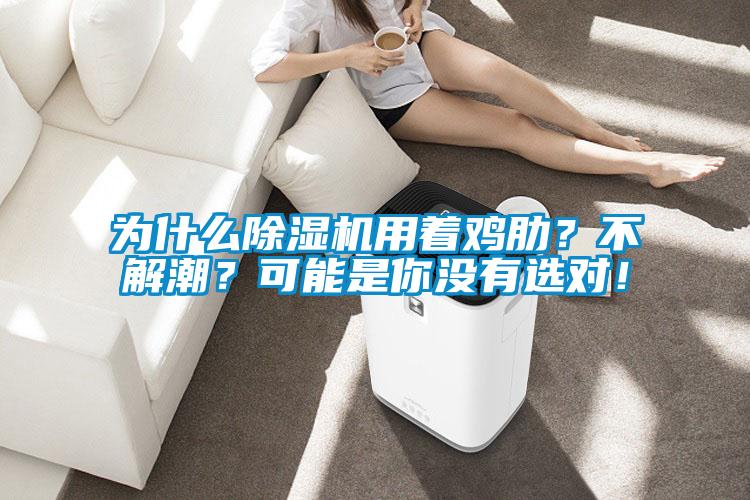 为什么蜜柚直播APP正版下载用着鸡肋？不解潮？可能是你没有选对！