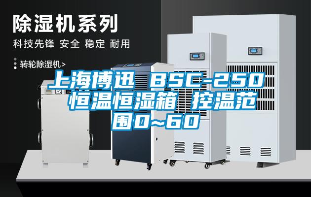 上海博迅 BSC-250 恒温恒湿箱 控温范围0~60℃