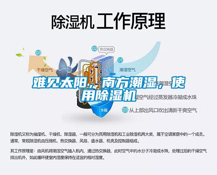 难见太阳，南方潮湿，使用蜜柚直播APP正版下载