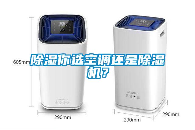 除湿你选空调还是蜜柚直播APP正版下载？