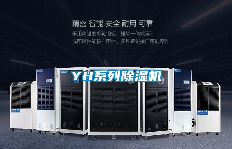 YH系列蜜柚直播APP正版下载