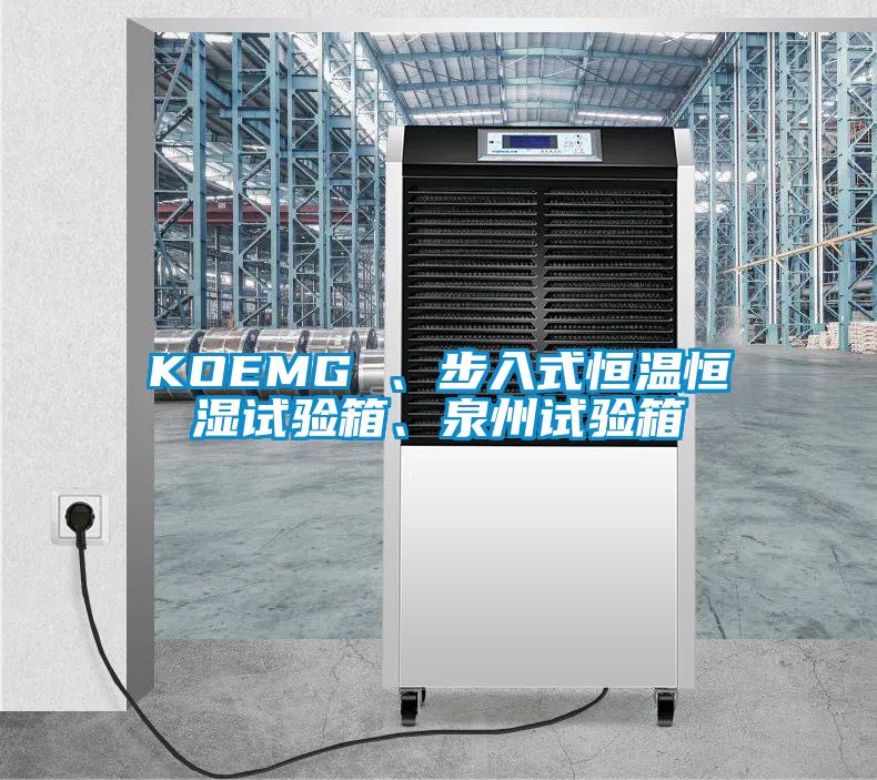 KOEMG 、步入式恒温恒湿试验箱、泉州试验箱