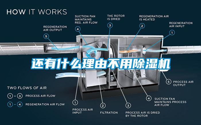 还有什么理由不用蜜柚直播APP正版下载