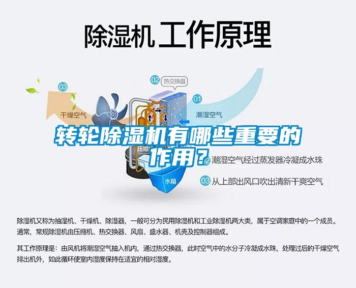 转轮蜜柚直播APP正版下载有哪些重要的作用？