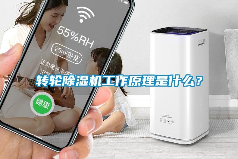 转轮蜜柚直播APP正版下载工作原理是什么？