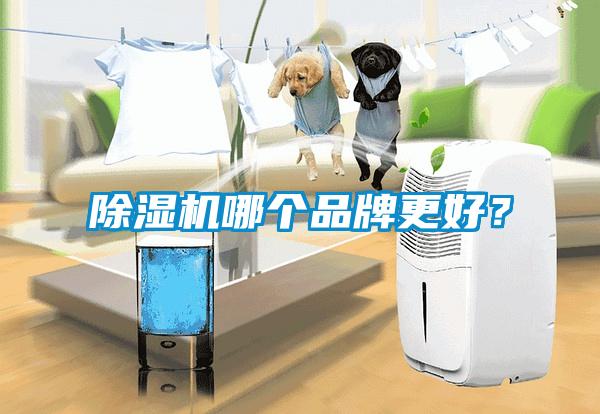 蜜柚直播APP正版下载哪个品牌更好？